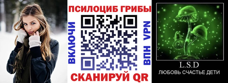 Псилоцибиновые грибы Cubensis  Купить  Льгов 